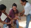 9-in-1-vaccine-stray-dogs_23_10_24