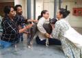 9-in-1-vaccine-stray-dogs_26_9_24
