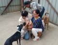 9-in-1-vaccine-community-dogs